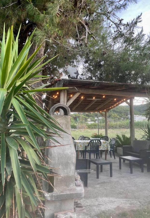 דירות פסקיצ'י Tosk House 2 מראה חיצוני תמונה